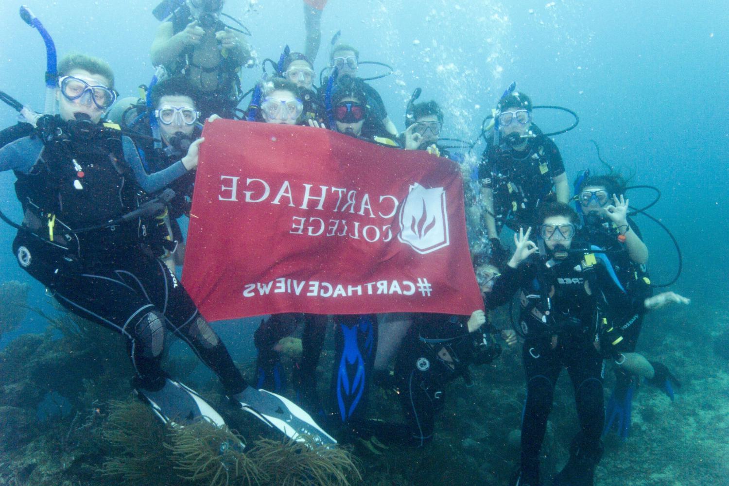 学生们手持<a href='http://rwgn.ngskmc-eis.net'>bv伟德ios下载</a>旗帜，在j学期洪都拉斯游学之旅中潜水.